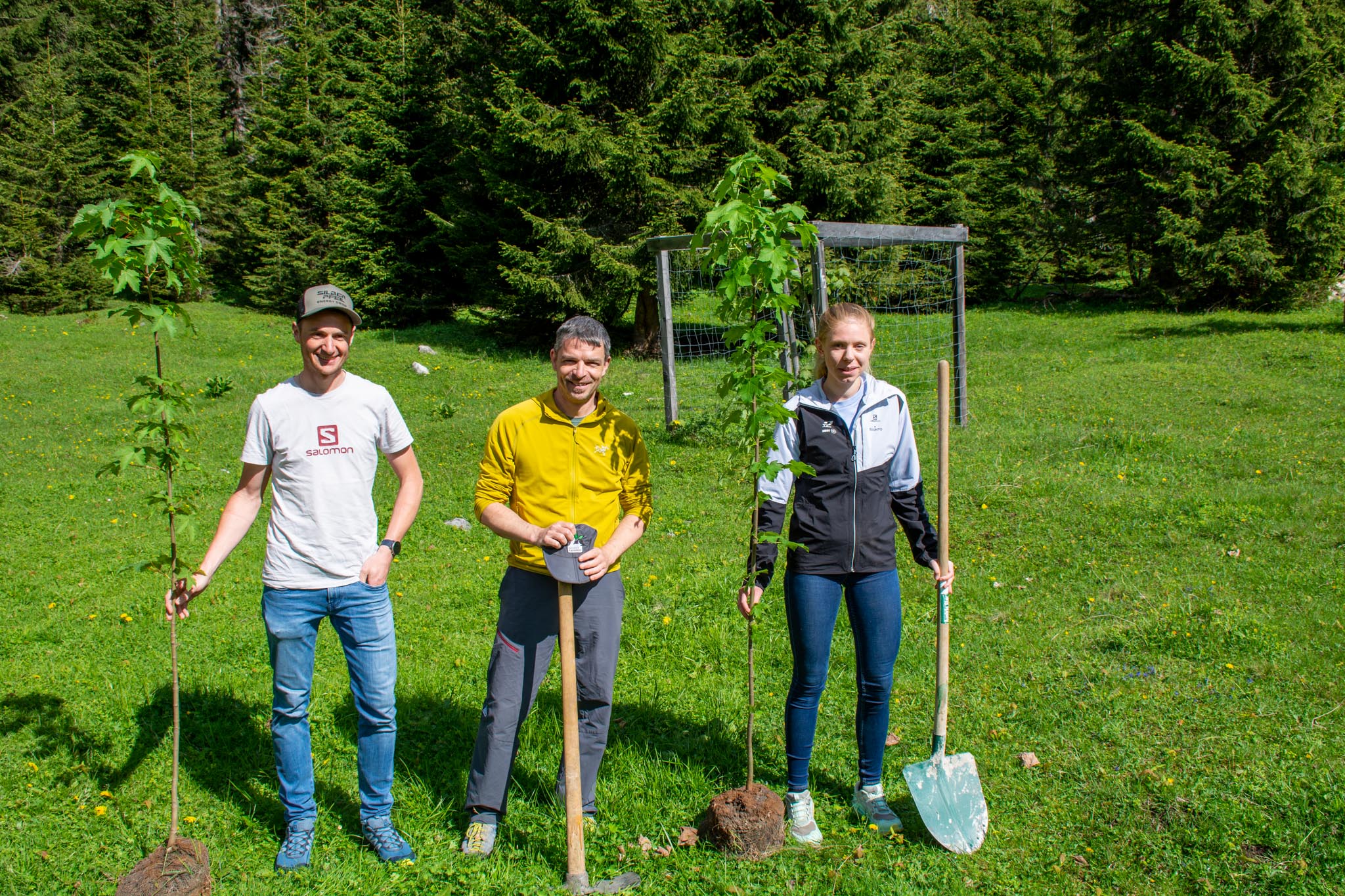 Ahornbaumpflanzung für den Karwendelmarsch
