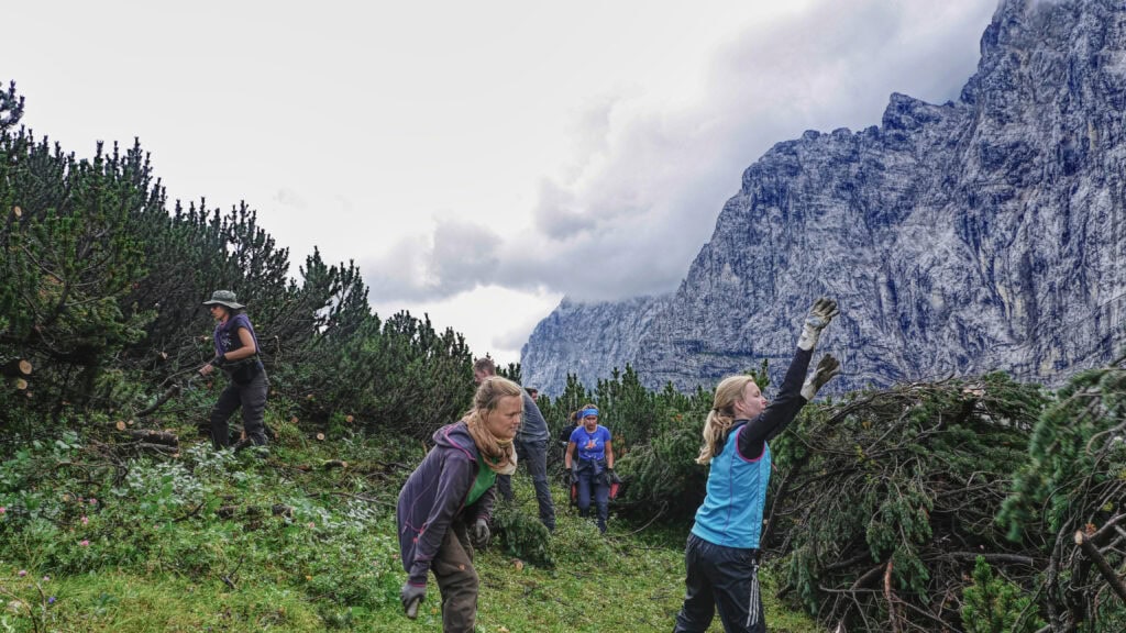 Spuren der Artenvielfalt im Naturpark Karwendel